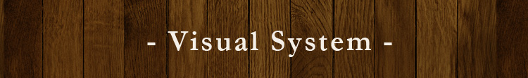 Visual System